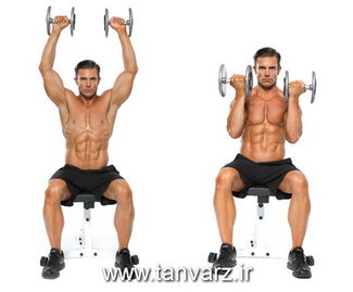 پرس آرنولد نشسته